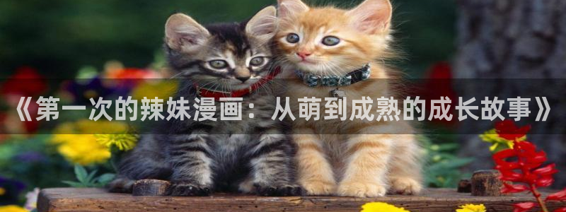 虫虫漫画无删减：《第一次的辣妹漫画：从萌到成熟的成长故事》